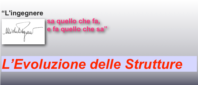  
“L'ingegnere 
sa quello che fa, ￼
e fa quello che sa” 


L’Evoluzione delle Strutture
 